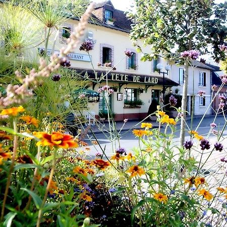 Logis Auberge À La Tête De Lard La Ferté-Imbault Exterior foto