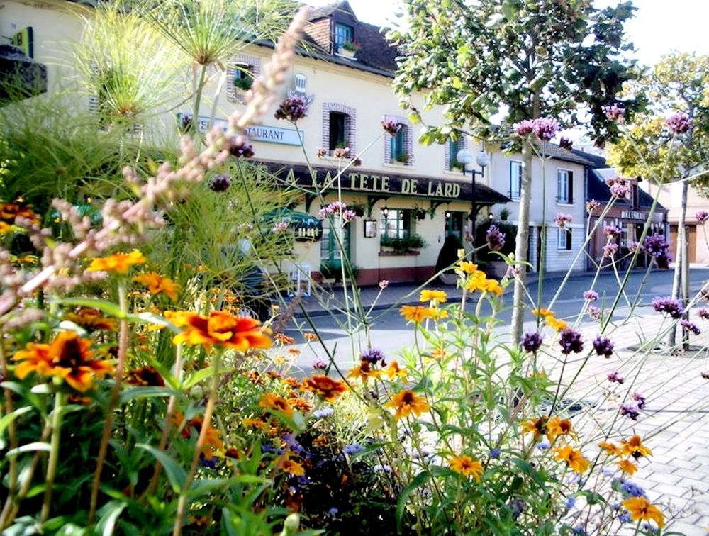 Logis Auberge À La Tête De Lard La Ferté-Imbault Exterior foto